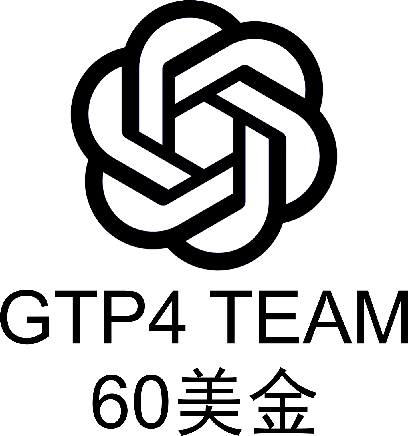 Chat GPT 4.0 ----60美金Team团队账号---可自行拉成员| ChatGPT账号 